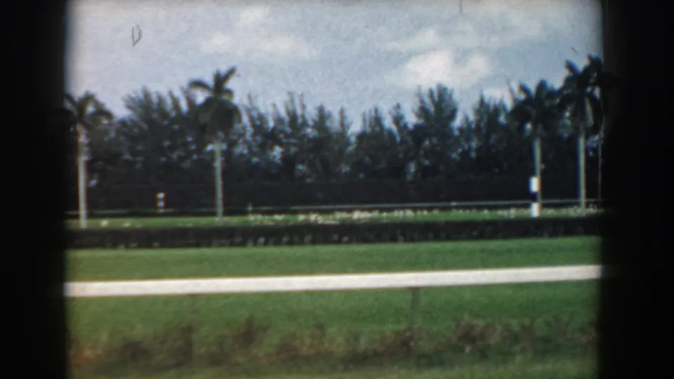 1958 South Carolina 8mm view of an open coastal lawn or field bordered by palm trees, roadside posts, and a dense tree line.