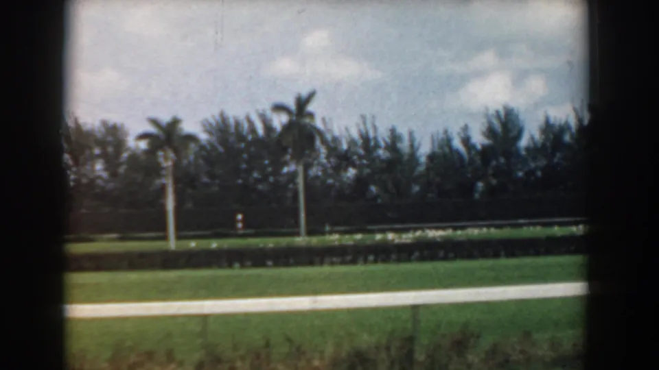 1958 South Carolina coastal travel frame with a grassy field, white boundary line, palm trees, roadside posts, and a bright sky.