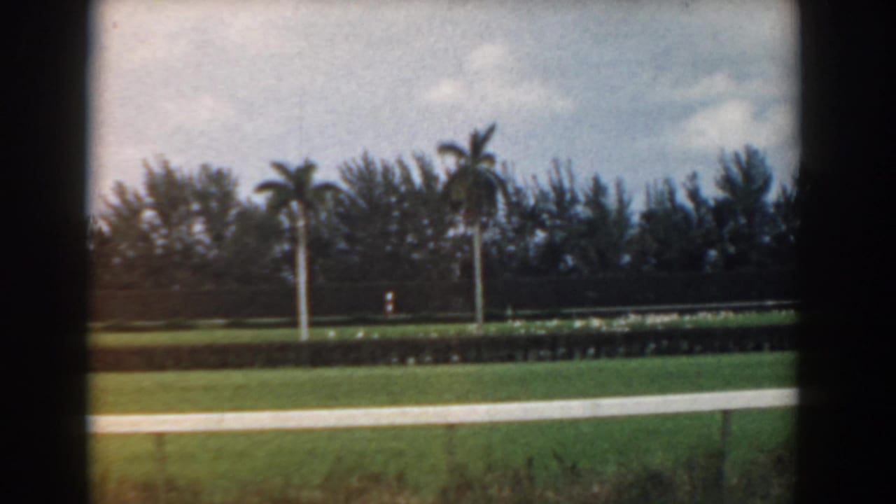 1958 South Carolina home-movie view of a green roadside landscape with palms, hedges, trees, and cloudy sky seen through dark frame edges.