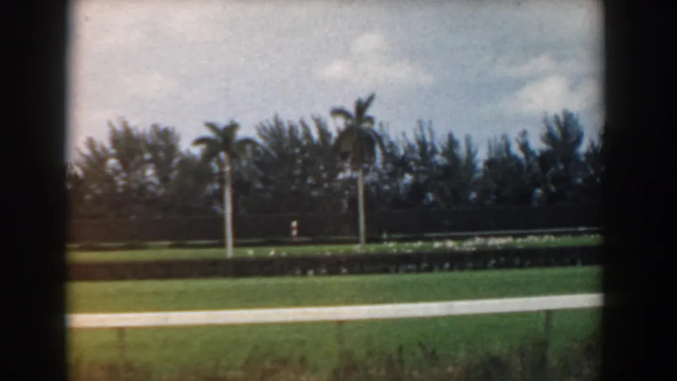 1958 South Carolina home-movie view of a green roadside landscape with palms, hedges, trees, and cloudy sky seen through dark frame edges.