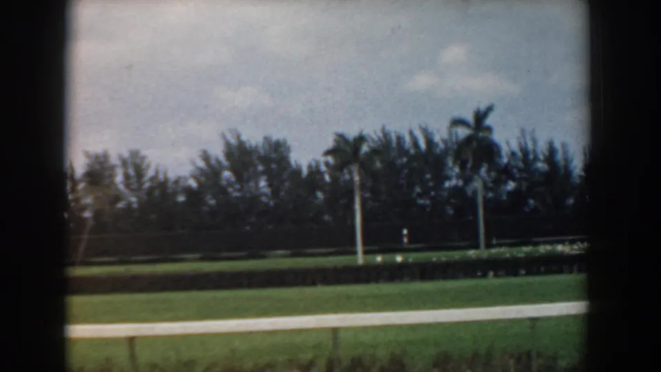 Soft 8mm frame from a 1958 South Carolina roadside view, with grass, palms, hedges, a dark tree line, and cloudy sky.