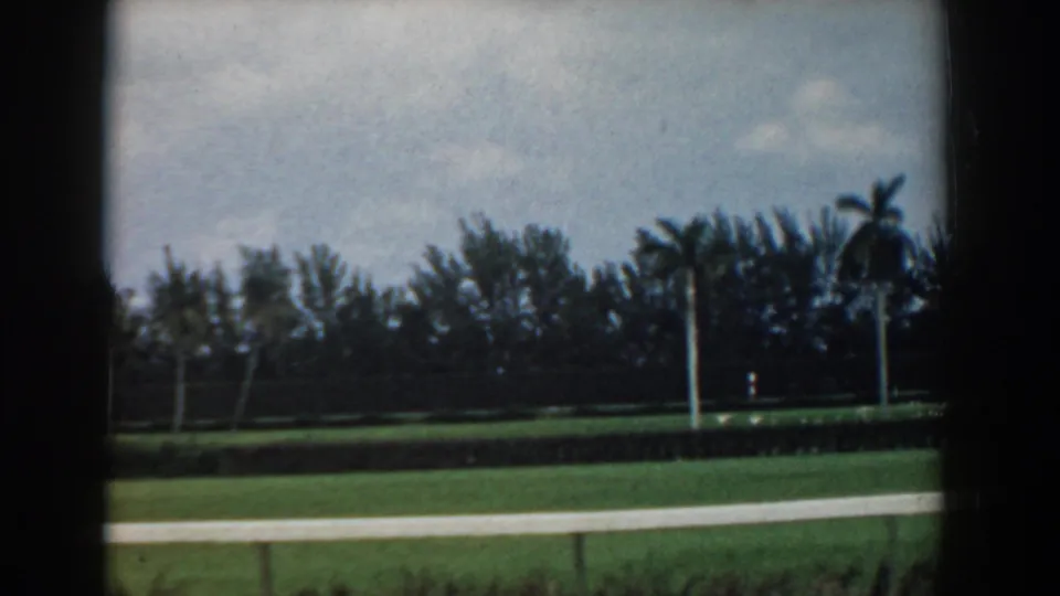 A 1958 South Carolina 8mm travel frame shows palms and open grass beside a pale roadside strip, with trees and cloudy sky behind.