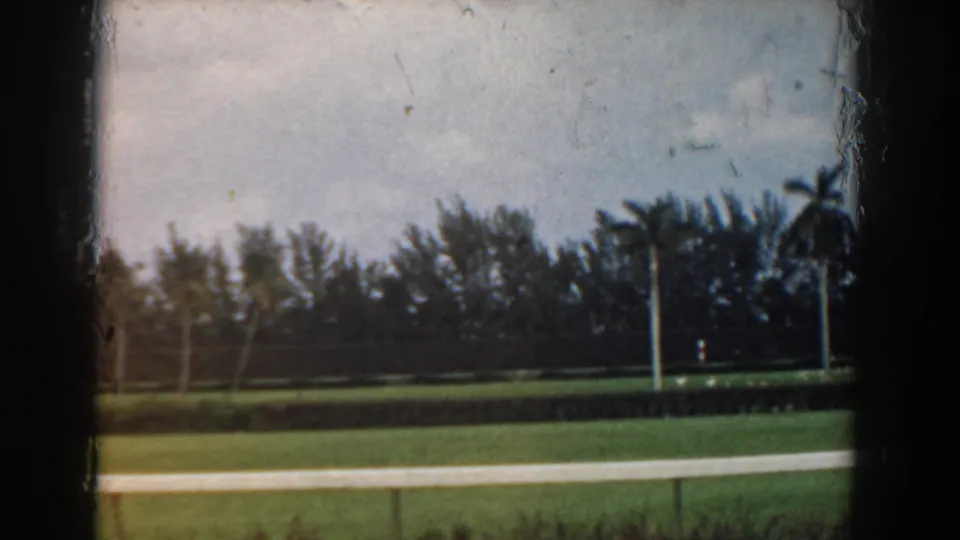 1958 South Carolina home-movie frame showing palms, lawn, a pale path, and dark film borders around the view.