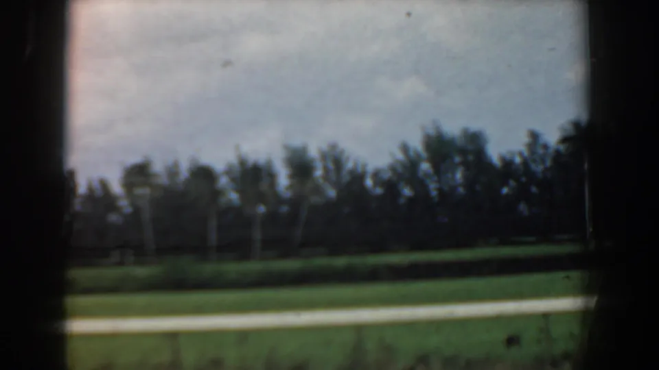 Soft 8mm frame showing South Carolina landscaped grounds with a darkened lawn, pale path, palms, and tree line.