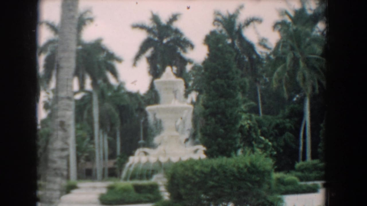 Palm-lined garden fountain with hedges and water jets in soft daylight.