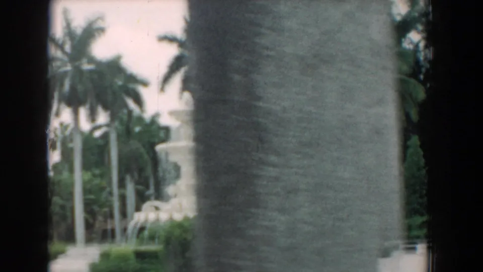 1958 South Carolina home-movie frame with the fountain and palms partly obscured by a close palm trunk as the handheld camera shifts.