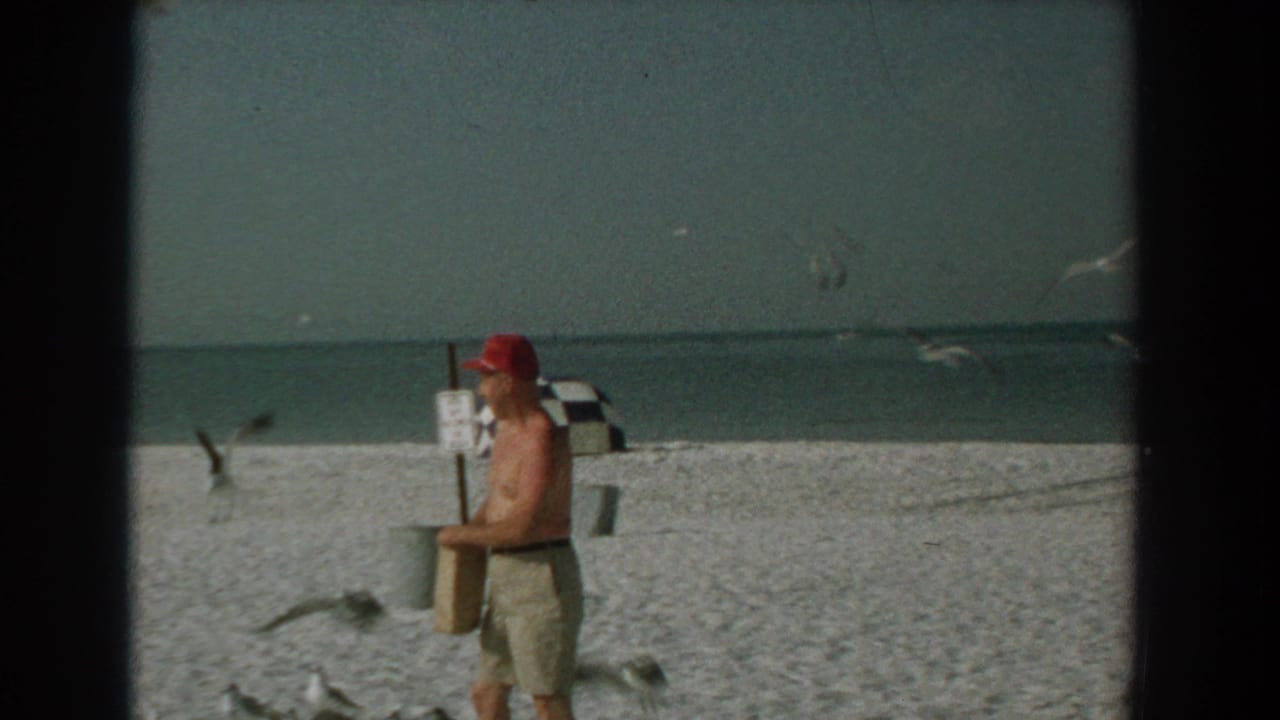 Man in a red cap holds a paper bag while gulls fly over a sandy beach.