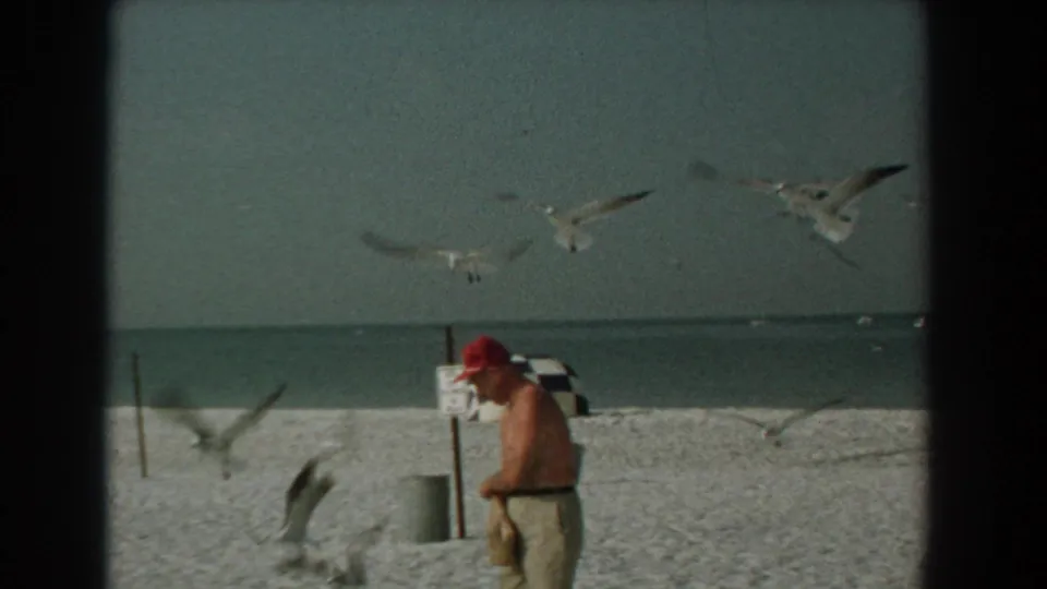 Several gulls fly close to the shirtless man in a red cap on the Yorktown beach, with pale sand and the ocean horizon visible.