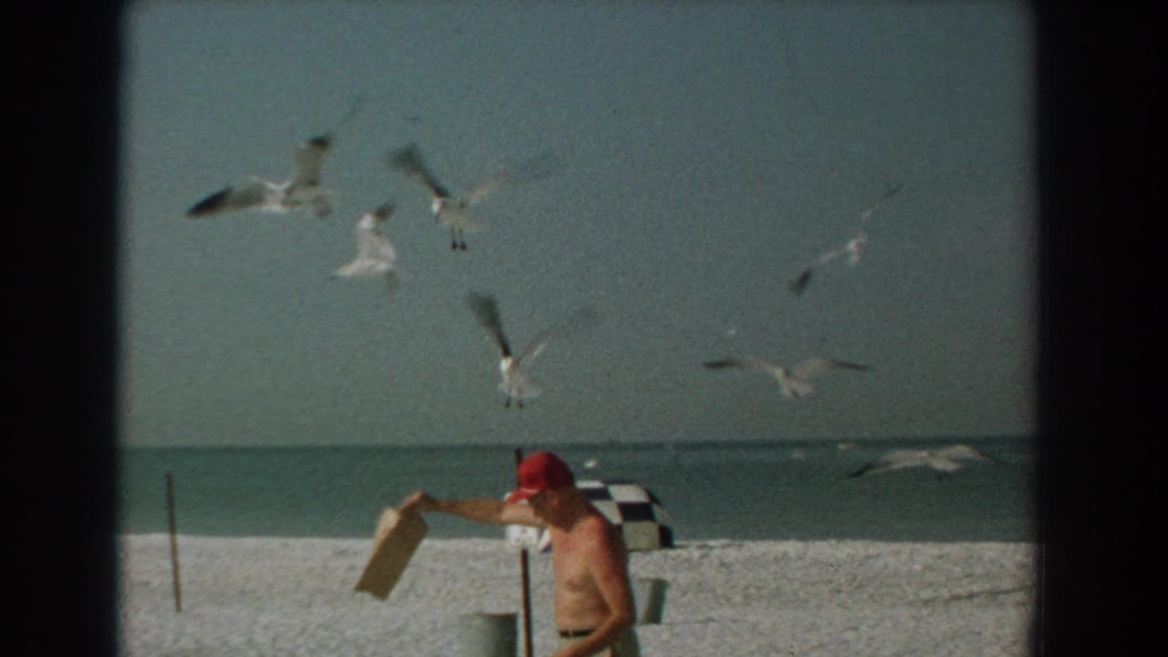 Shirtless man in a red cap pours food on a sandy beach as seagulls fly overhead.
