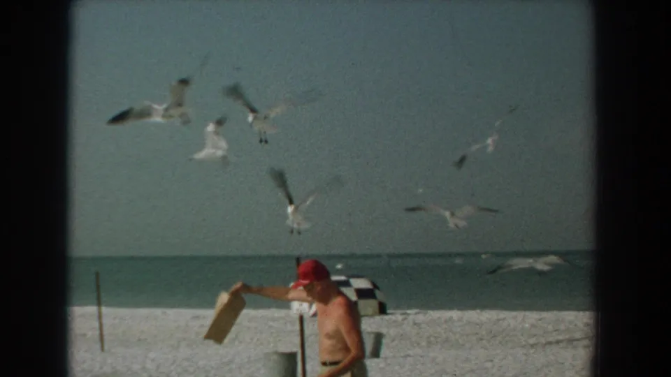1958 Yorktown beach footage shows a shirtless man in a red cap feeding seagulls near the waterline.
