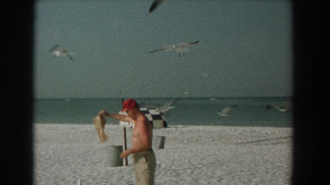 Man holds a sack and pail on the beach while gulls fly over the shoreline.