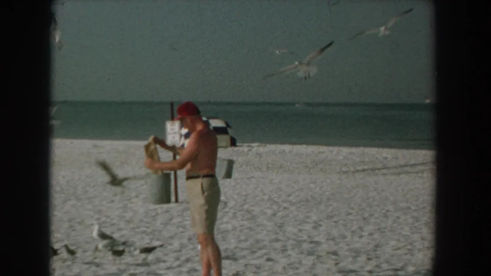 The home-movie frame shows gulls landing and flying around a man feeding them on a Yorktown beach in 1958.