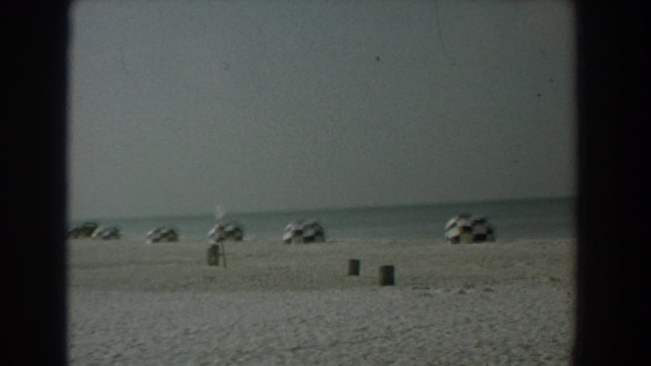 Sandy shore with several checkered umbrellas and two dark bins near the waterline.
