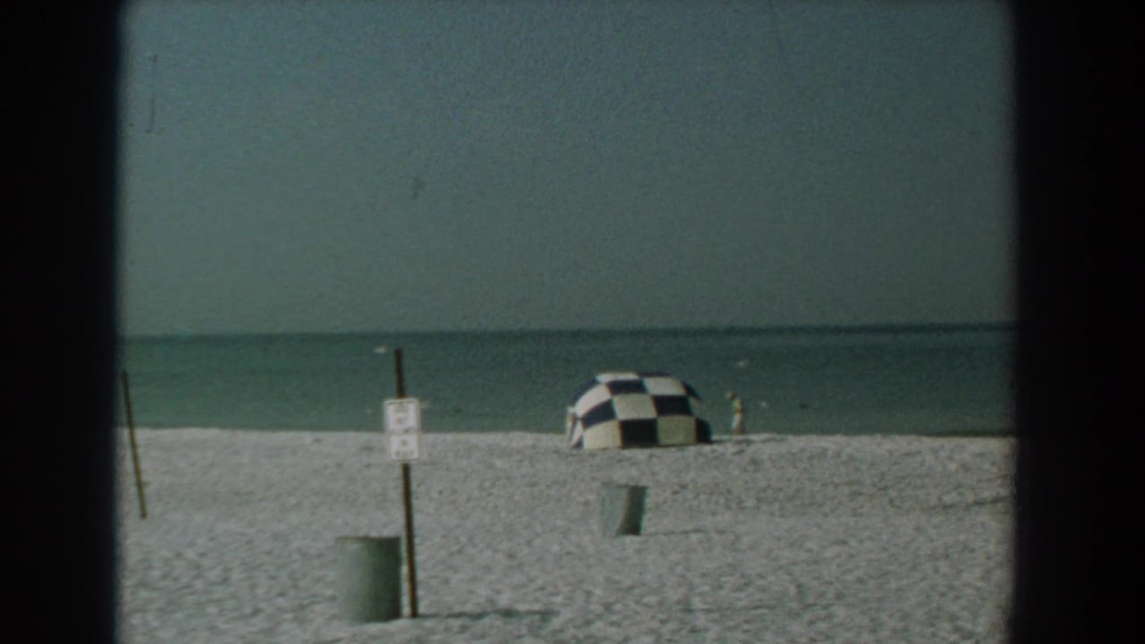 Beach and ocean with one prominent checkered umbrella, signpost, trash can, and seagulls.