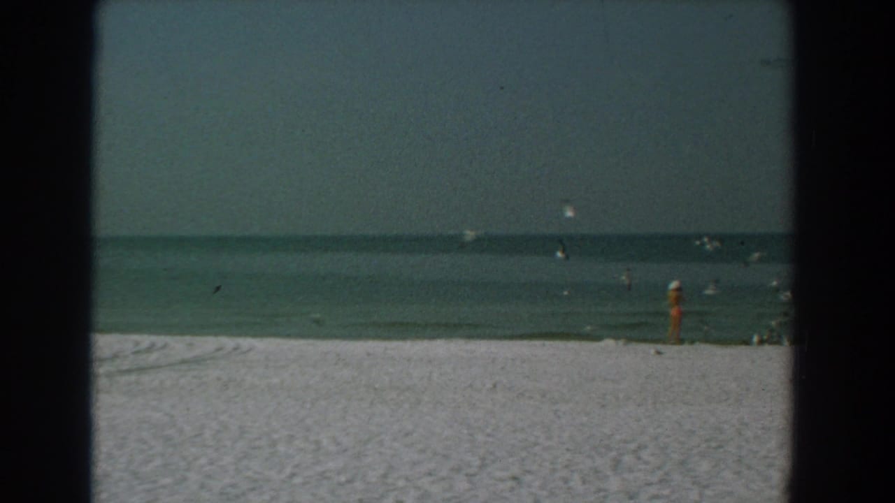 Beach shoreline with birds in the air, calm water, and a standing person near the right edge.