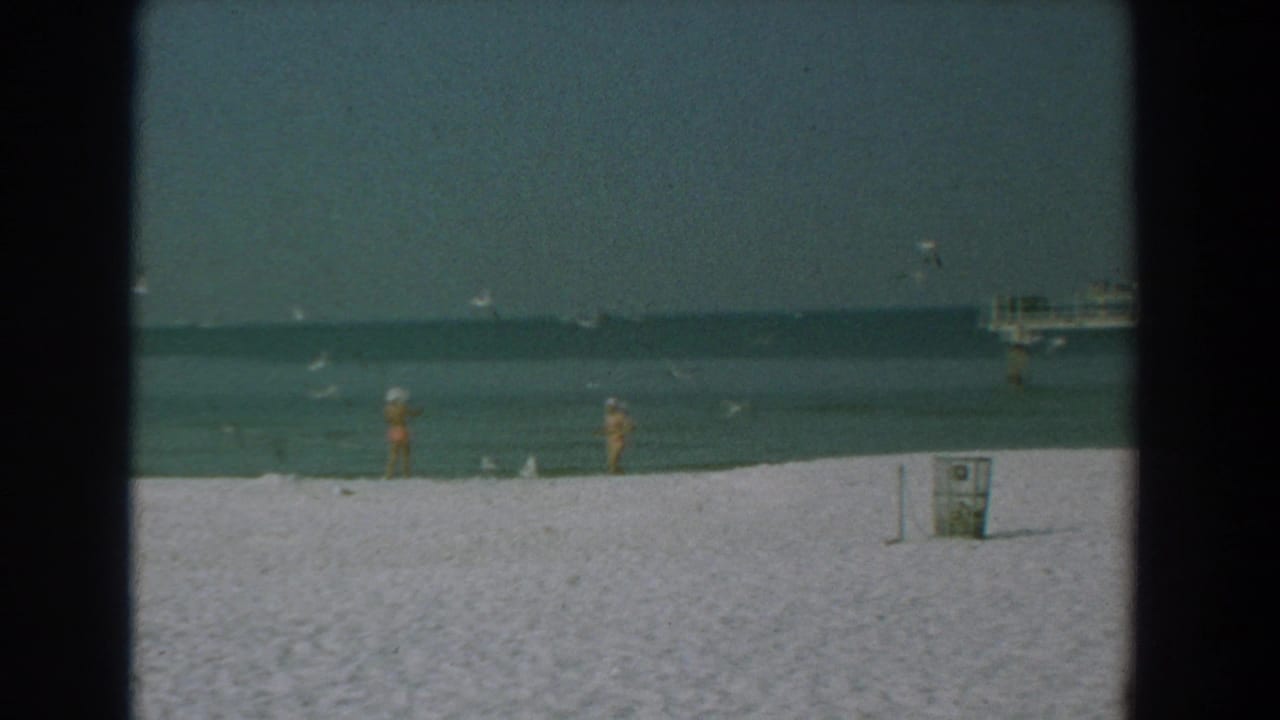 Two women stand near the waterline on a sandy beach as seagulls fly overhead.