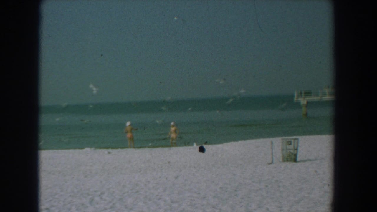 Two women stand by the shoreline with gulls in the sky and a pier in the distance.