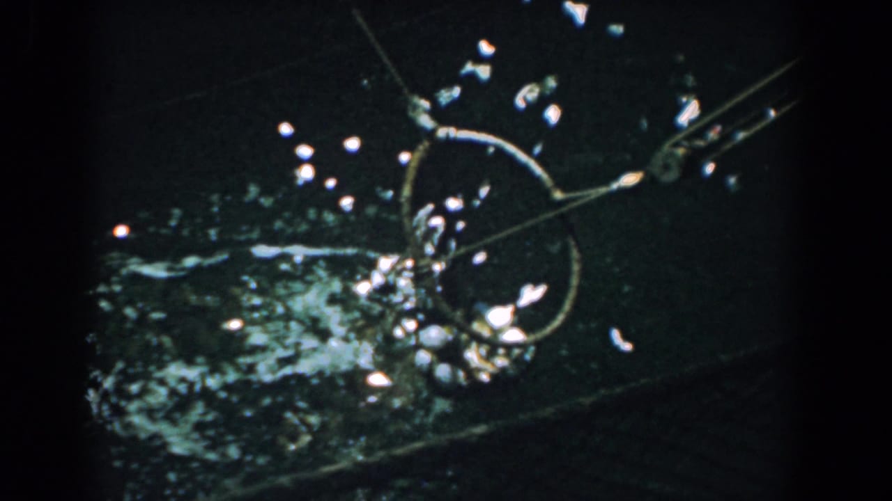Round net and attached arm pull a wet catch through rippling water.
