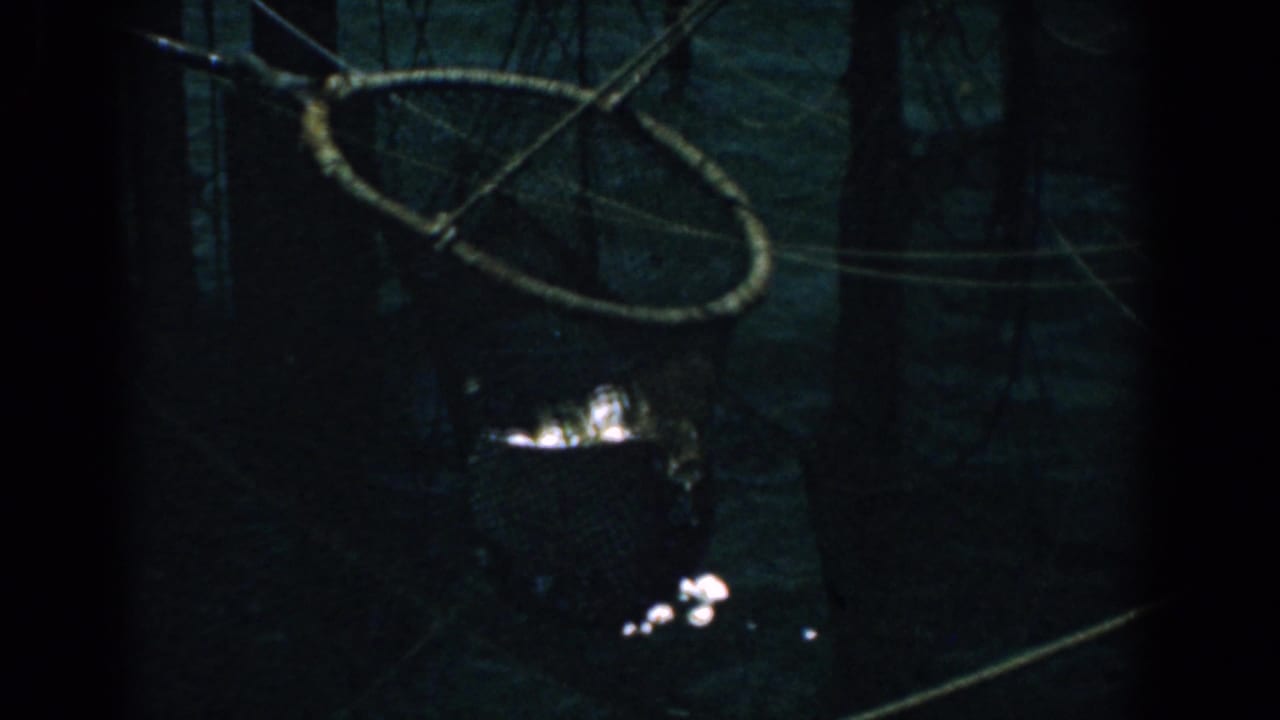 Dark water with a rope-framed net and wet debris under low light.