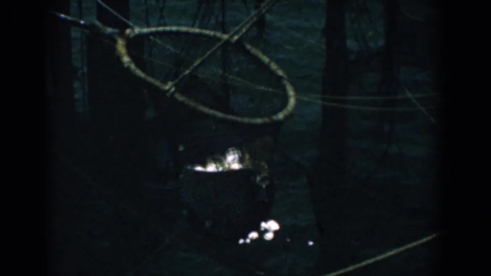 1958 Yorktown home-movie frame showing a rope-framed net over dark water with small wet highlights from debris or reflections.