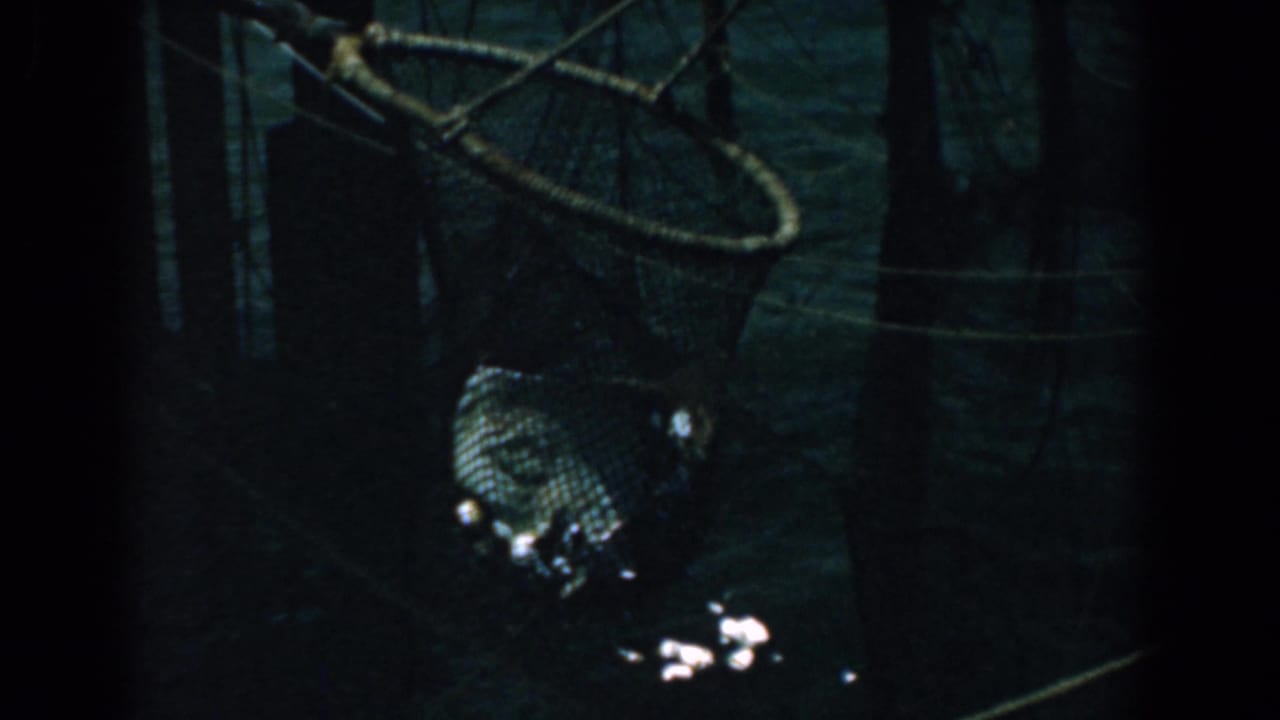 1958 Yorktown 8mm frame showing a rope-framed net above dark water and glistening debris near the bottom edge.