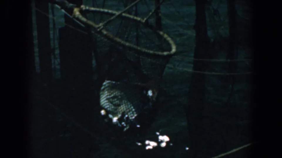 1958 Yorktown 8mm frame showing a rope-framed net above dark water and glistening debris near the bottom edge.