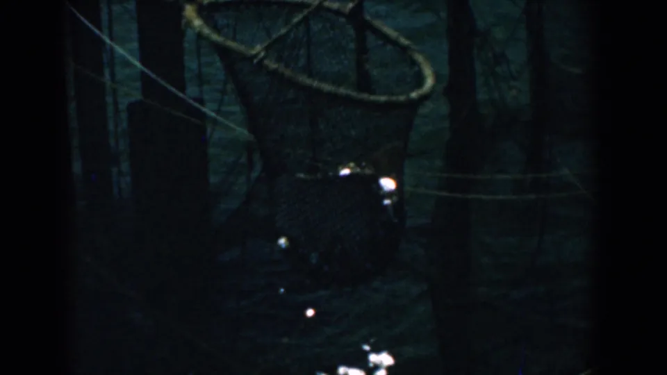1958 Yorktown 8mm frame with a dark net or basket shape beside water, rope lines, and small reflected highlights.