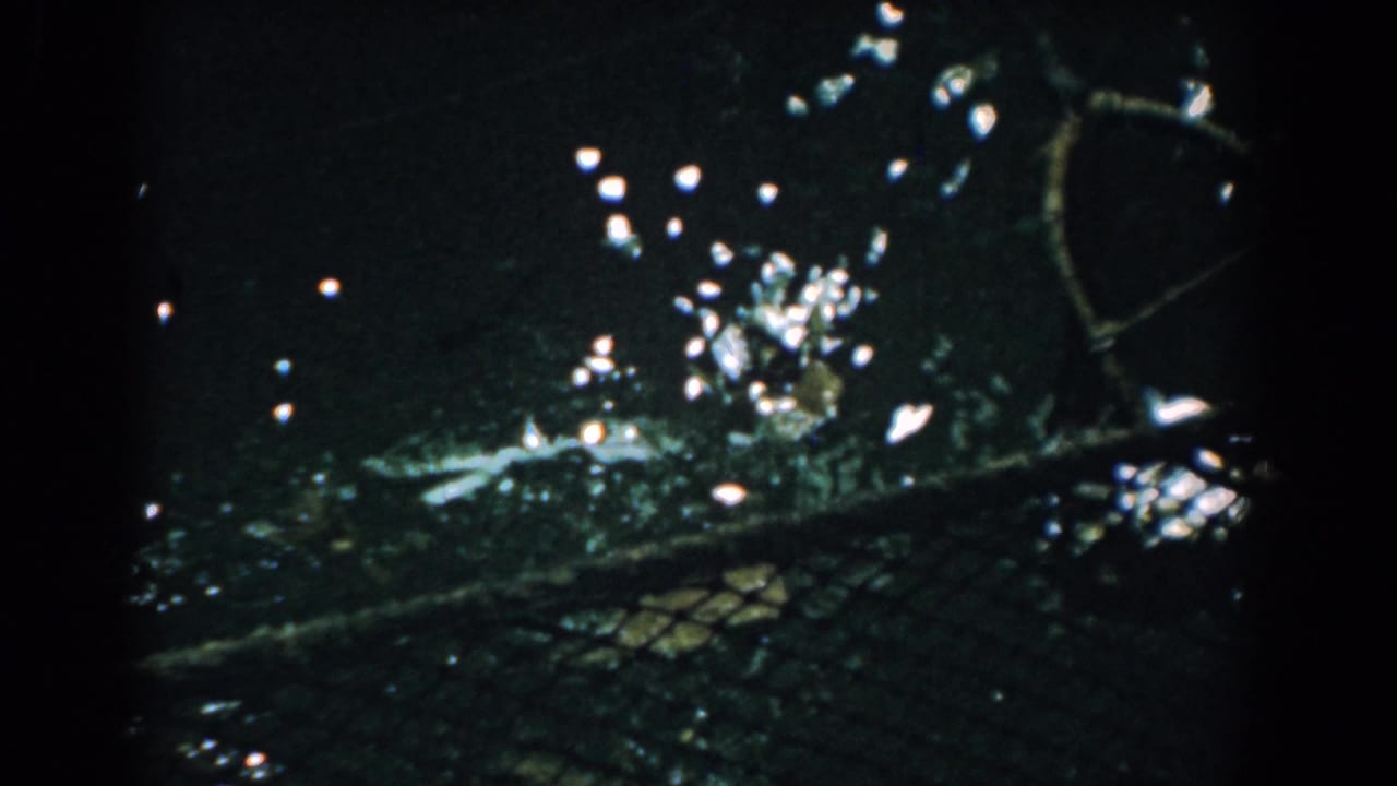 Dark water surface with bright reflections, mesh netting, and floating debris.