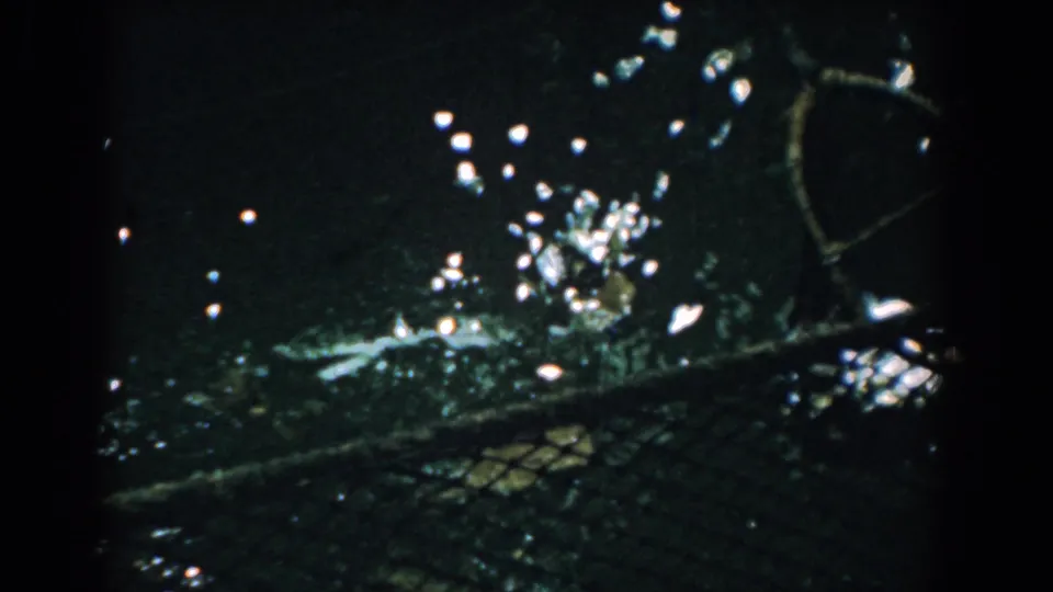 1958 Yorktown 8mm frame showing murky water, reflected light, submerged mesh netting, and small floating debris.