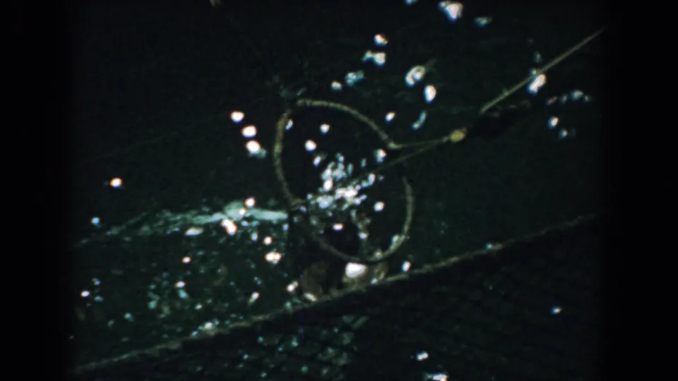 1958 Yorktown 8mm frame showing a loop of cord or net line, mesh, debris, and bright highlights on murky water.
