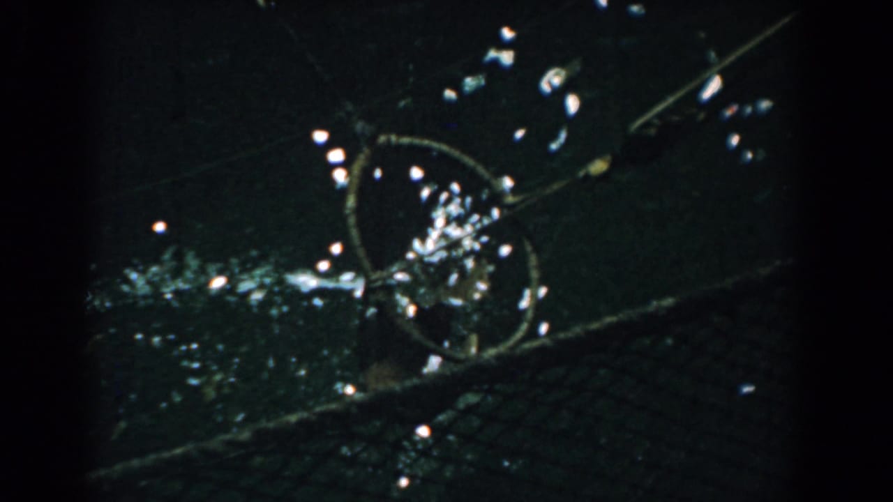 Circular metal form against a dark surface with diagonal lines and scattered bright reflections.