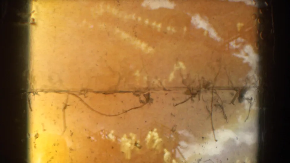 Distant yellow-robed figures move through a wooded or grassy area in 1958 Yorktown footage, partly obscured by scratches and warm color shift.