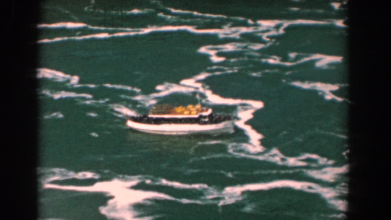 White tour boat with a yellow canopy crossing foamy green water.