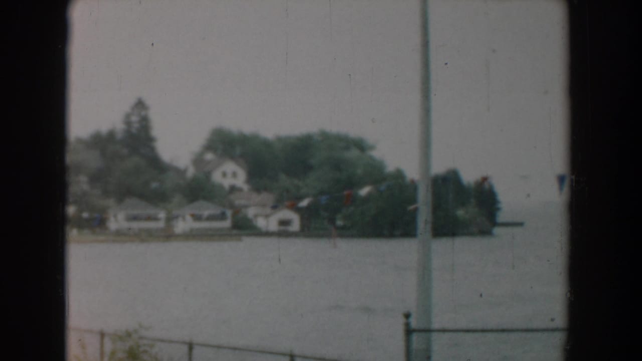 Distant shoreline houses and trees seen across gray water through vertical window bars.