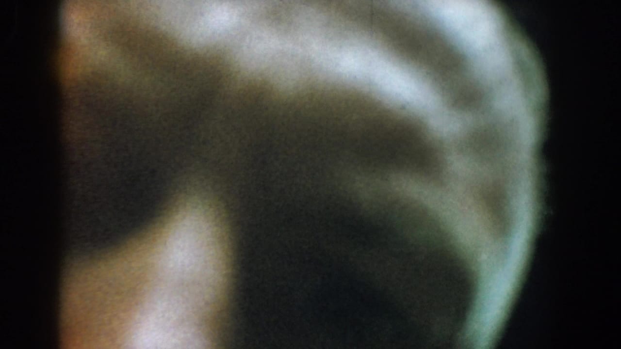 Blurred close-up with dark film edges and soft green-brown shapes.