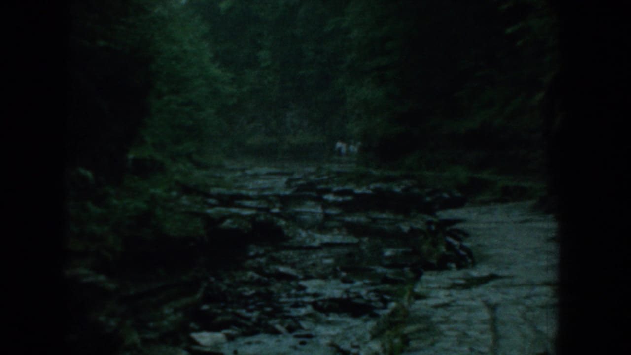 1958 Yorktown, Virginia home-movie frame showing a shaded rocky creek, thick green woods, and small distant figures near the streambank.