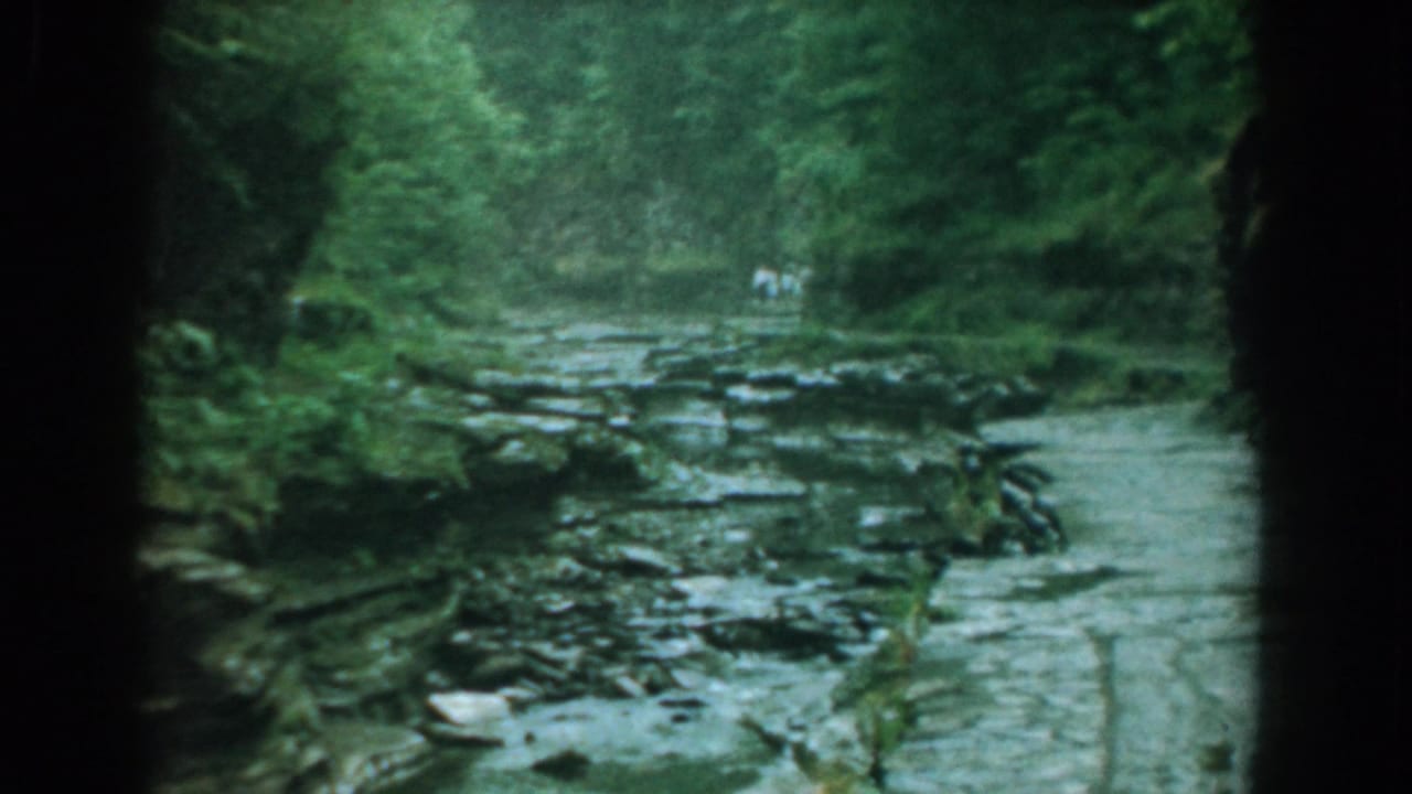 Rocky stream channel bordered by dense green trees and a narrow bank path with figures far back.