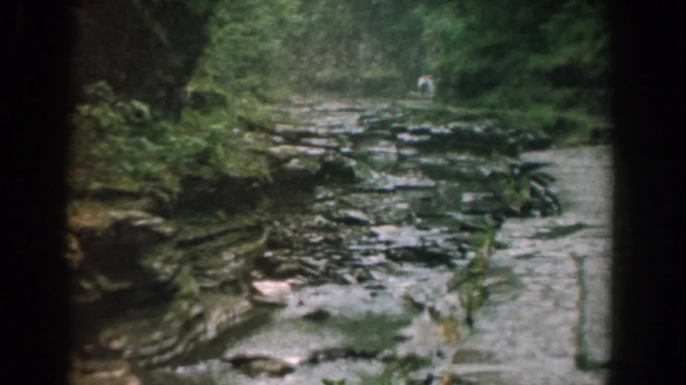 Yorktown, Virginia creek frame from 1958 8mm footage, with eroded rock, shallow water, dense trees, and a light-clothed figure far upstream.
