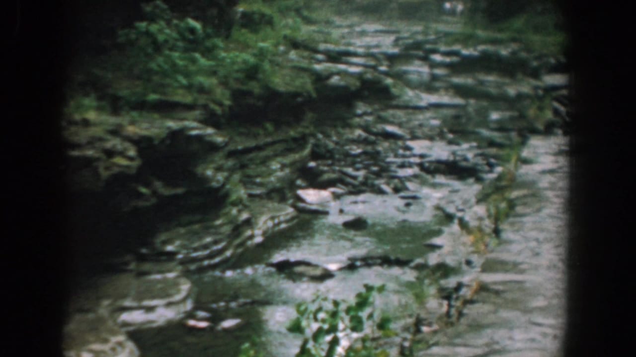 Wooded rocky stream channel with water running over flat stone ledges.