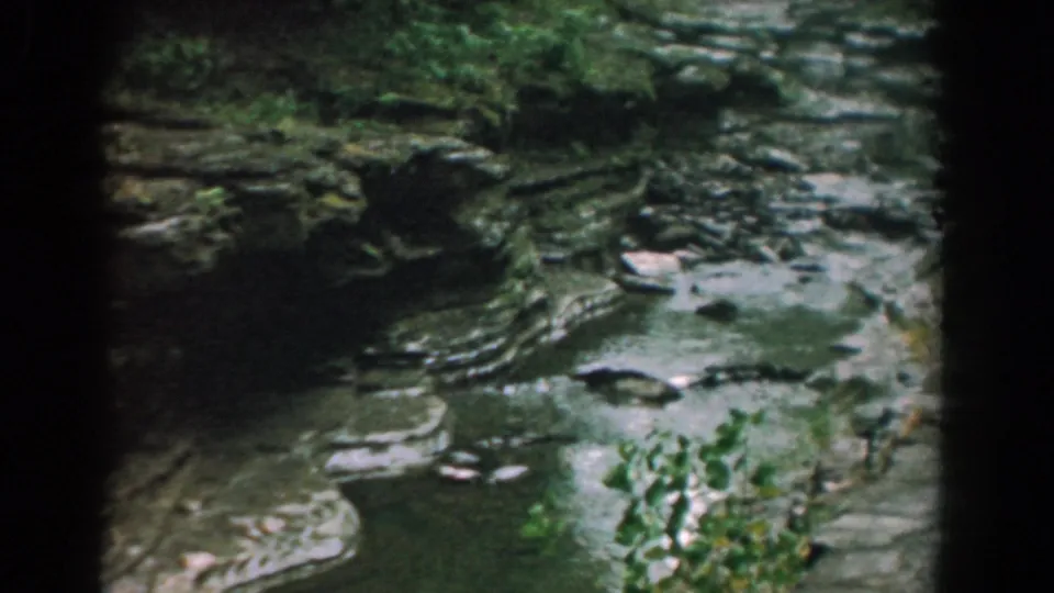 1958 Yorktown, Virginia 8mm frame showing shallow water, wet stone shelves, and leafy plants at the edge of a wooded stream.