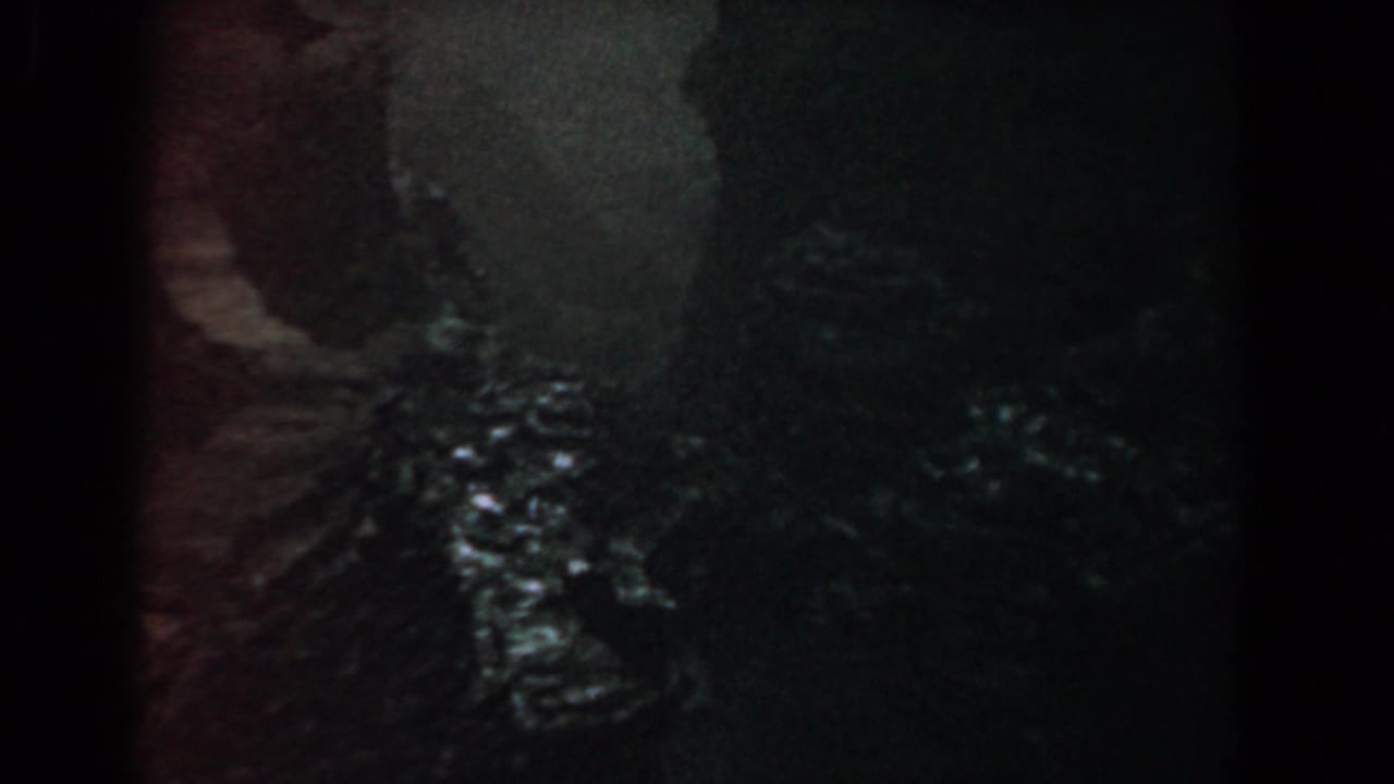 Dark wooded riverbank or path with reflective water and heavy 8mm grain.