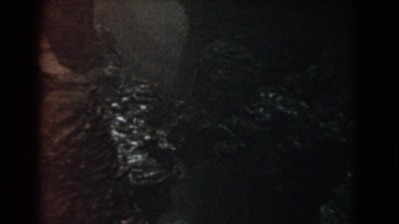 Dim foliage and river reflections beside a rough bank in a grainy 8mm frame.
