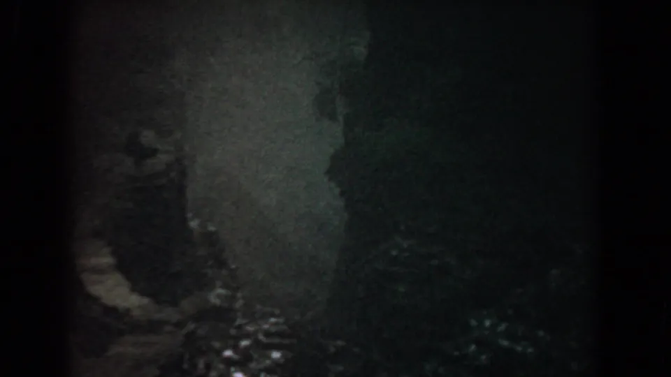 Dark Yorktown 8mm frame with soft foliage shapes, a pale bank or path area, and faint reflective water along the edge.