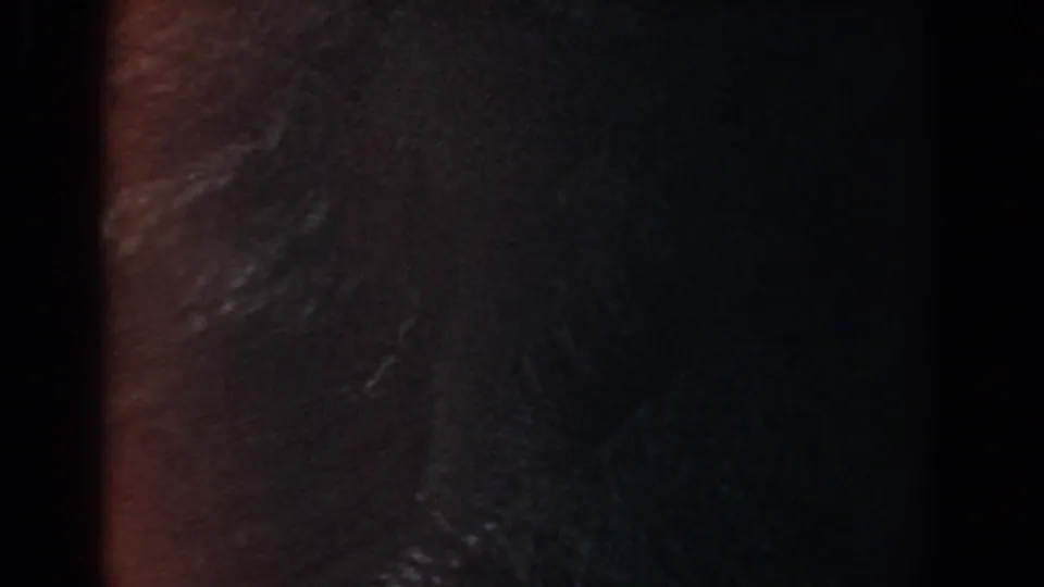 Final 8mm frame from the attributed Yorktown clip, with dark close-up texture, reddish side tone, and faint highlights.