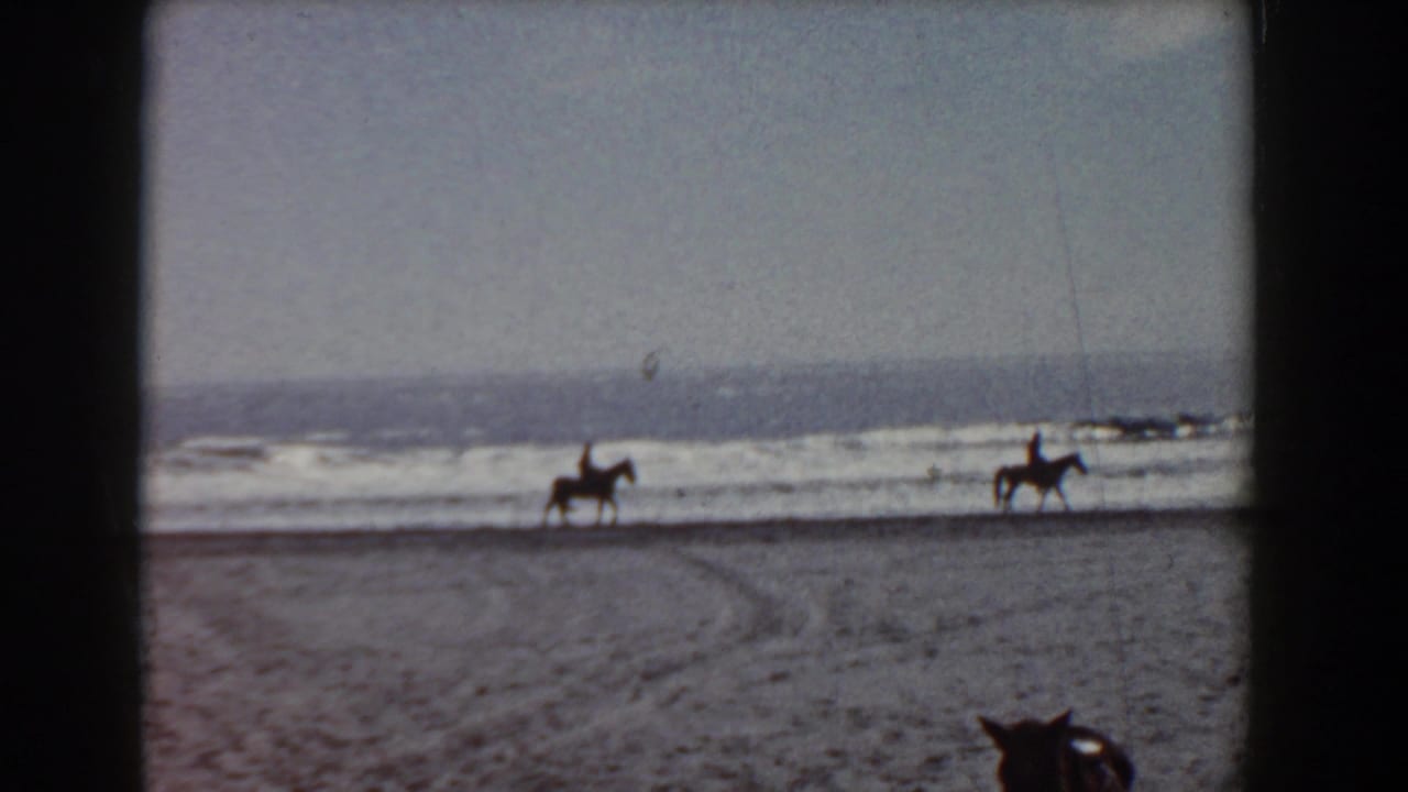 Distant riders travel along the surf in 1958 Yorktown, Virginia, while a poodle is partly visible in the foreground.