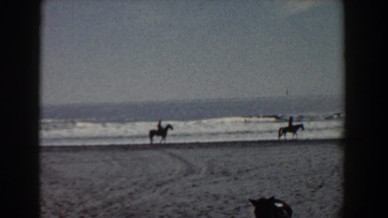 A Yorktown beach scene shows horseback riders near the surf and a seated poodle watching from the lower foreground.