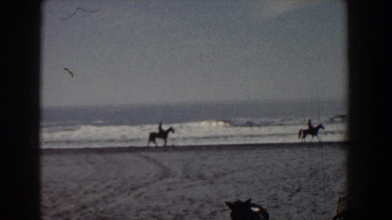 Faded 8mm frame of a poodle on Yorktown beach watching distant riders move beside breaking waves.