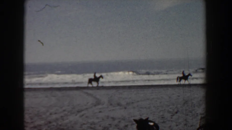 Faded 8mm frame of a poodle on Yorktown beach watching distant riders move beside breaking waves.