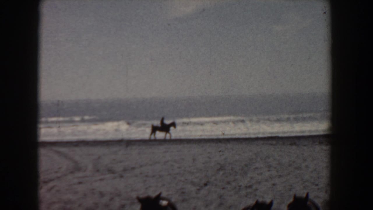 Horse and rider moving along a beach with ocean waves in the background.