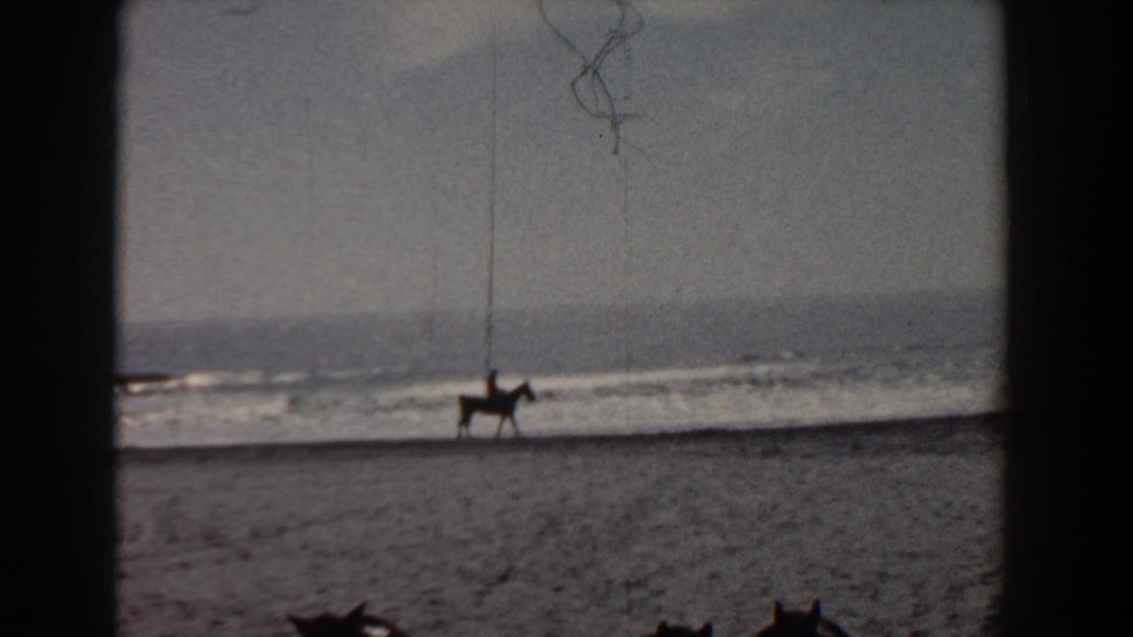 Yorktown beach scene with a small horse-and-rider silhouette near the water and partial foreground shapes at the lower edge.